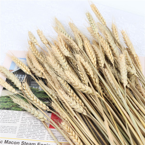 Bouquet d'épis de blé séchés Wen Hope, accessoires décoratifs naturels pour la maison et les mariages - Product Image 2