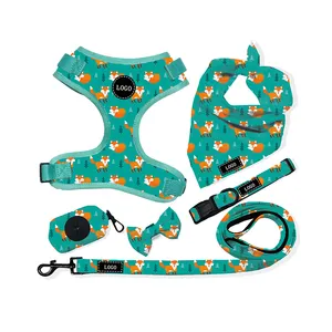 Set gilet con imbracatura in neoprene regolabile per cani, guinzaglio con colletto personalizzato, forniture per animali domestici, no pull, accessori di lusso per animali domestici, 2022