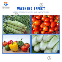 WASC-10 Commerciële Groente- en Fruitwasmachine met Motor, 304 RVS, 220V, 200-300kg/u capaciteit, CE-gecertificeerd