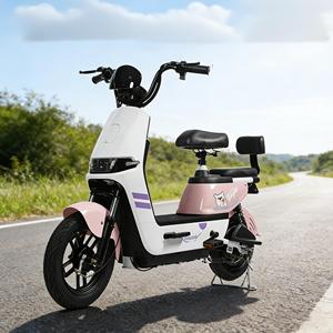 48V 1000W 20AH Digital Long Range Brushless Rear <b>Hub</b> Motor EBIKE 3-Speed Lead Acid Battery City Pedals Free Shipping - Product Image 1