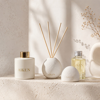 AIKUN – Ensemble diffuseur à bâtonnets de luxe, parfum longue durée, avec logo personnalisé, vente en gros, directement de l'usine, pour la décoration intérieure