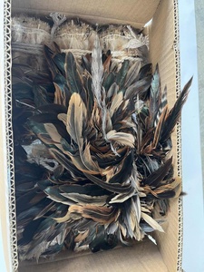 Nhuộm số lượng lớn màu trắng hackle gà Dậu lông cho Craft DIY Fly buộc Chất liệu lễ hội tóc bông tai Phụ Kiện Đảng trang trí nội thất - Product Image 3