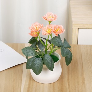 Vente directe d'usine de roses en pot, fleurs de prunier, articles décoratifs en pot créatifs et touchants pour hôtels et restaurants - Product Image 3