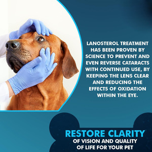 <span class=keywords><strong>K</strong></span>-green Gouttes oculaires <span class=keywords><strong>pour</strong></span> chiens et chats - Traitement en plastique durable <span class=keywords><strong>pour</strong></span> les infections oculaires, les allergies, les yeux secs et roses, et le nettoyant <span class=keywords><strong>pour</strong></span> les taches de larmes 30ml - Product Image 3