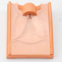 Simulador de anatomía del órgano reproductor femenino, modelo anatómico para la escuela de medicina, entrenamiento de colocación y extracción de DIU, silicona médica