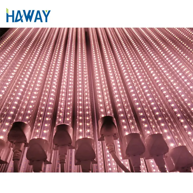 2020 Veg. 3ft 4ft t8 관 고품질 중국 특허 48W led는 온실을 위한 빛을 성장합니다