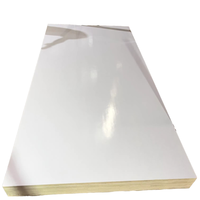 C T FARM LLC Contreplaqué marin stratifié blanc brillant 18 mm, résistant à l'eau, qualité supérieure, double face, placage mélaminé 2 couches