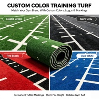 Rouleau de gazon synthétique pour piste de luge de 18 mm, revêtement de sol personnalisé pour salle de sport avec numéros et échelle d'agilité pour l'entraînement de force CrossFit