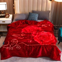 Couverture de lit en velours à multiples styles, couette en raschel en gros, couverture chaude de 5 kg 200*230 cm