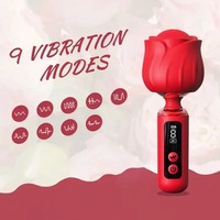 Vibrateur à balle LCD multi-fréquences pour femmes, 10 fréquences, étanche et silencieux, masturbateur portable, jouet érotique