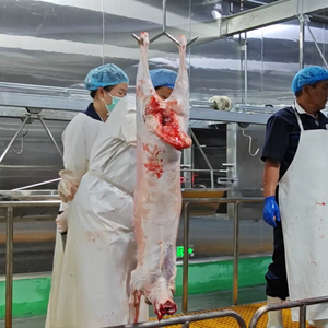 Schafs ch lacht hof Erwachsene Schafs ch lacht maschine für Ziegen schlachthof ausrüstung - Product Image 2