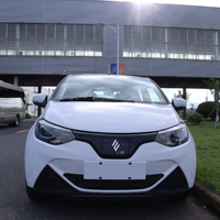 Jiang Ling EV2 Berline Électrique Haute Vitesse LHD 4 Places Véhicule à Énergie Nouvelle Longue Autonomie Batterie au Lithium pour la Vente en Gros