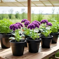 10 pièces étiquettes de plantes en métal marqueurs d'étiquettes de jardin réutilisables plantation marqueurs de jardinage pour plantes légumes herbe semis fleurs