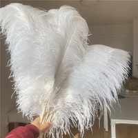 Bricolage grande plume blanche carnaval 70-75cm plume d'autruche pour la décoration de fête