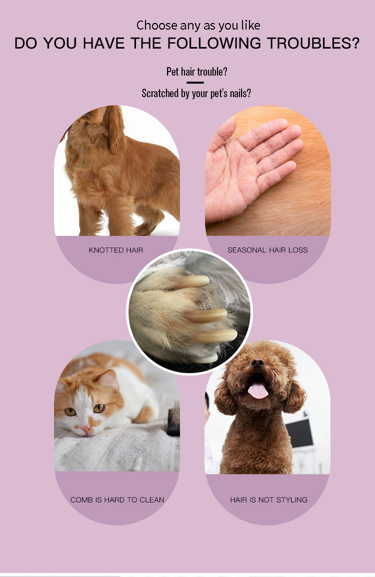 Factory Wholesale 2 In 1 Cat Needle Hair Comb Dog Pet Dematting Grooming Comb With Pet Nail Clipper Or Stainless Steel Pet Comb