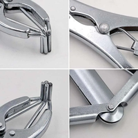 Instruments chirurgicaux de castration pour animaux de grande taille en gros, pinces de décapage de queues et pinces de désornement pour porcs et moutons