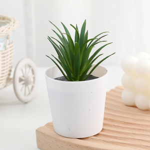 Mini plantas en maceta Duofu, plantas <span class=keywords><strong>suculentas</strong></span> artificiales, bonsái suculento <span class=keywords><strong>con</strong></span> maceta redonda de plástico - Product Image 4