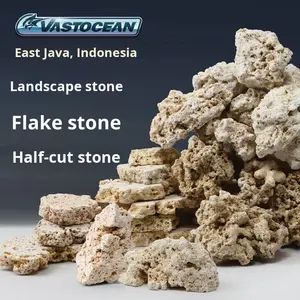 Pietra Artificiale per Acquario Marino <span class=keywords><strong>con</strong></span> Coltura di Batteri - Product Image 3