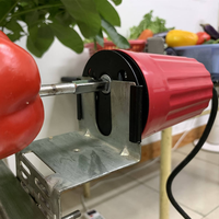 Moteur de rôtissoire automatique mini 220V AC, moteur électrique facile à installer pour rôtissoire BBQ et cuisson en extérieur
