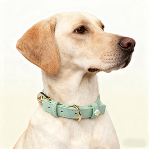 <span class=keywords><strong>Collar</strong></span> de Estilo Princesa con Diseño de Margaritas Pequeñas en PU, Diseño Ultrafino, Ultraligero y Lujoso para Perros y Gatos, Uso en Todas las Estaciones - Product Image 2