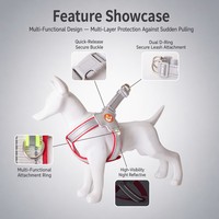 Harnais Réfléchissant Premium Anti-Traction Respirant Tendance et Mignon pour Chiens de Type Y (Corgi, Shiba Inu) Petits et Moyens – Prix d'Usine OEM en Gros