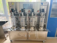 Bioréacteur en verre agité 5L, Fermenteur avec contrôle du pH et de la température, Récipient sous pression pour la fermentation de levure à petite échelle en laboratoire