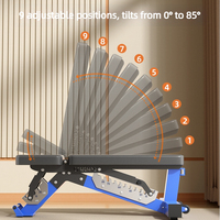 Banc de musculation professionnel réglable multifonctionnel, banc de fitness pour exercices de musculation et entraînement de force