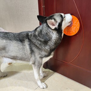 Plat de nourriture multifonctionnel en silicone pour animaux de compagnie, forme ronde 3 en 1, pour chat et chien, avec fonction de léchage lent - Product Image 4