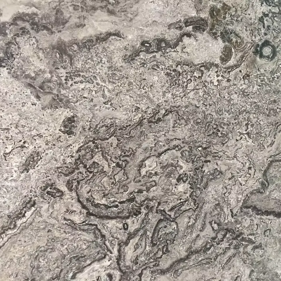 아름다운 달 회색 대리석 슬라브 타일 바닥