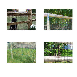 3/8 นิ้ว 12 เกจยางชุบสังกะสีเคลือบลวดตาข่ายกรงกระต่ายเชื่อมในม้วน - Product Image 2