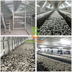 IP69K Rancher LED Triproof Light Linkable 40W Waterproof Anti-corrosion IK10 Tubular LED Light for Poultry Farm Food Processing - Product Image 3
