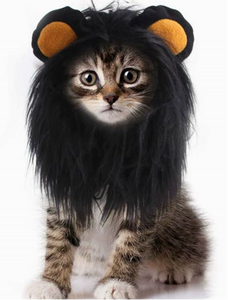 Perruque pour animaux de compagnie, fournitures pour chiens, accessoires pour animaux, cheveux bouclés, cheveux raides, perruque pour chat - Product Image 6