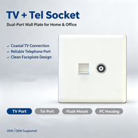 Prise murale combinée TV et téléphone OEM personnalisée, type 86, blanche, vente en gros