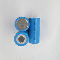 Xinhui Times 32700 3.2V 6000mAh Sel Baterai LiFePO4 Silinder Paket Lithium Ion Isi Ulang untuk Lampu Tenaga Surya Pintar