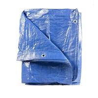 Lona Impermeable de Polietileno Virgen 100% de 220 g/m², Lona Lisa para Toldos, Cubiertas de Contenedores, Lona para Carpas, Rollo de Lona