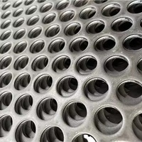 Fabricant de filets de poinçonnage Maille métallique perforée en acier inoxydable de haute qualité et moins chère