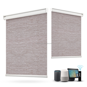 Panneau de maintien à fermeture éclair intelligente, pour rideaux, stores noirs, fonctionne avec Google Alexa Homekit, Tuya - Product Image 2