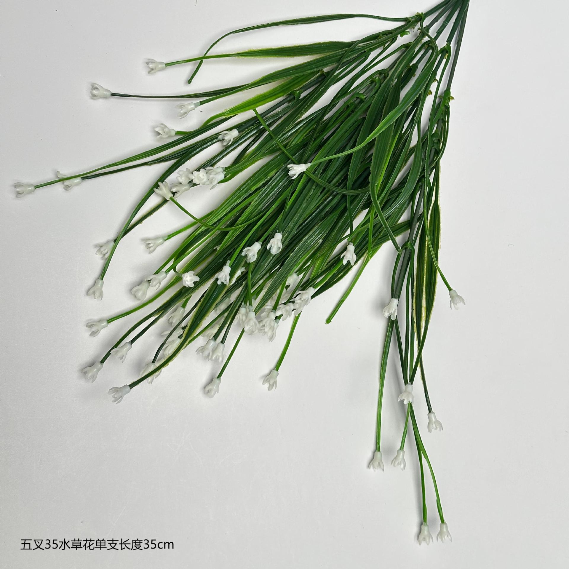 Water grass flower