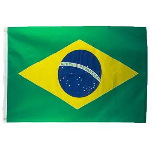 定制厂家直销3x5英尺210D尼龙刺绣巴西国旗