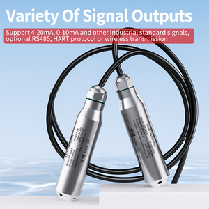5M 범위 5M 케이블 수위 센서 송신기 센서 4-20mA 0-10V RS485 오일 연료 레벨 측정 장비 - Product Image 3