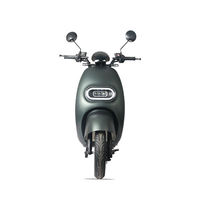 Factory Direct 1000W Electric Motorcycle Adults Scooter Two Wheels Long Seat Scooter for Adults Electric Motorbike Motorcycle