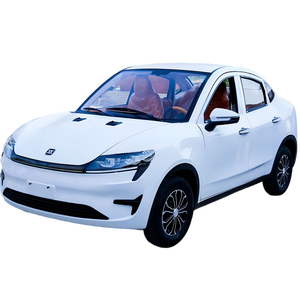 Vehículo Eléctrico 4x4 de Carga Rápida, Batería de 30 kWh, Autonomía de 101-200 km, Ecológico - Product Image 1