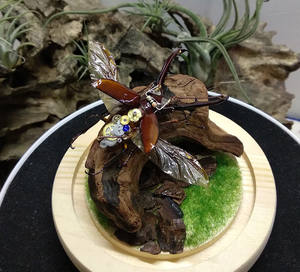 Drijfhout Diverse takken Bonsai Aquarium Natuurlijk drijfhout Drijfhout Accessoires Reptiel Decoratie Ornament - Product Image 4