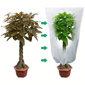 Cubierta Protectora para Plantas en Forma de Domo, para Huertos, Protección Contra el Frío Invernal e Insectos, Cubierta Antifrío - Product Image 2
