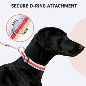Nouvel ensemble collier <span class=keywords><strong>et</strong></span> laisse pour chien en sangle tissée personnalisée à rayures, réglable en plastique, durable pour la promenade - Product Image 4
