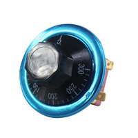 Thermostat capillaire WHD-300E 50-300 degrés pour incubateur d'œufs, contrôleur de température, chauffe-eau à gaz, four, bouton en fer, AC220V, usage commercial