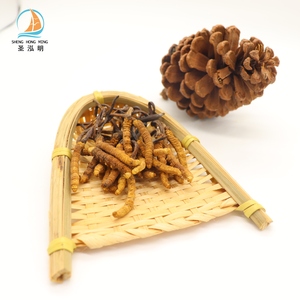 Hongo Cordyceps Luofmiss Silvestre Natural Puro a Granel de Alta Calidad, Hongo Orgánico, Compre Cordyceps <span class=keywords><strong>Sinensis</strong></span> - Product Image 2