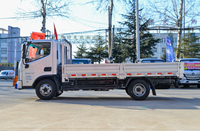 Chine tout nouveau camion commercial à plat Aumark TX avec corps de cargaison de 4230mm et vitesse maximale de 95 km/h