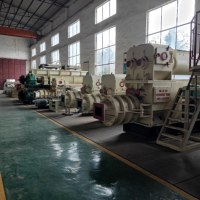Ligne de production d'extrusion sous vide pour la fabrication automatique de briques en terre rouge pleines et creuses