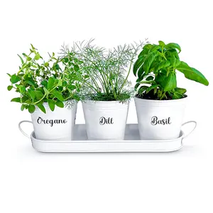 草本盆栽花盆套装，带托盘，用于室内花园或室外，用于厨房窗台使用白色金属肉质盆栽花盆